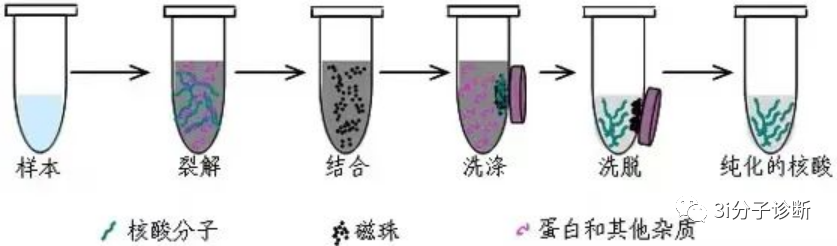 技术 | PCR实验室的核酸提取，你都了解吗？