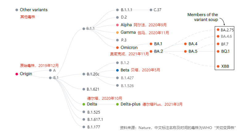 3年拥有2000多亚变体！扒一扒新冠大家族族谱