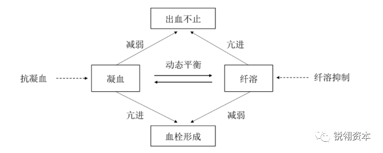 凝血市场分析