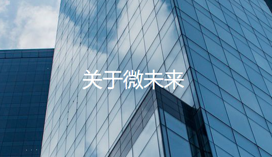 北京微未来科技有限公司