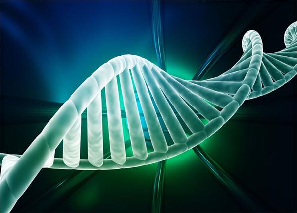BioMerieux 牵手口袋测序仪，准备搞事！