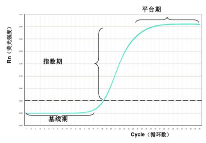 极限突破！数字PCR进入“1小时检测圈”