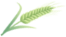 新冠抗原检测试剂注册审批收紧，至少十款被终止！