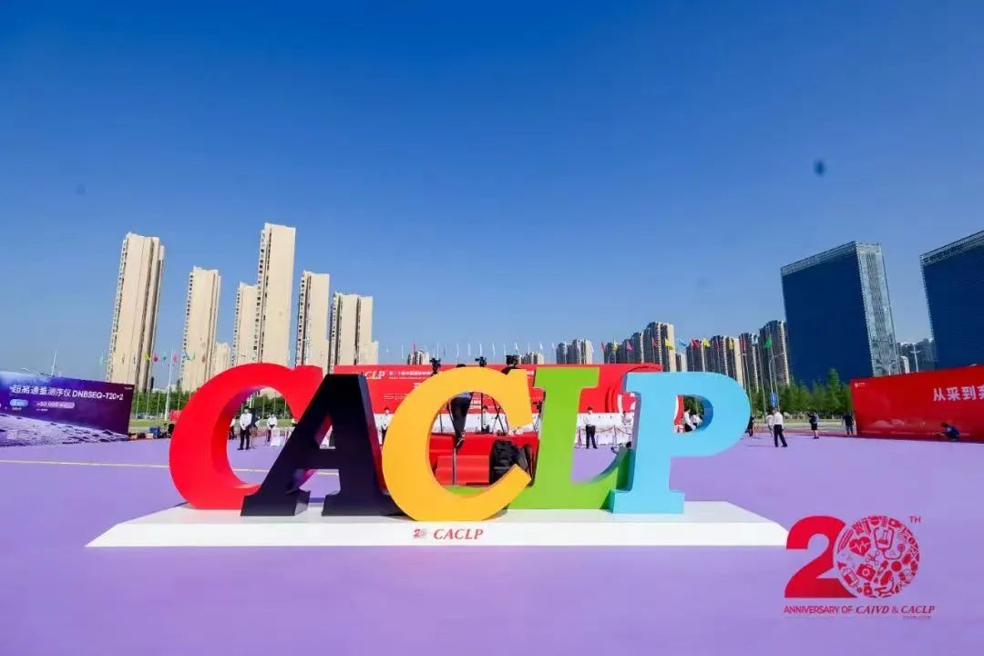 CACLP观感，卷不动了，也得卷！
