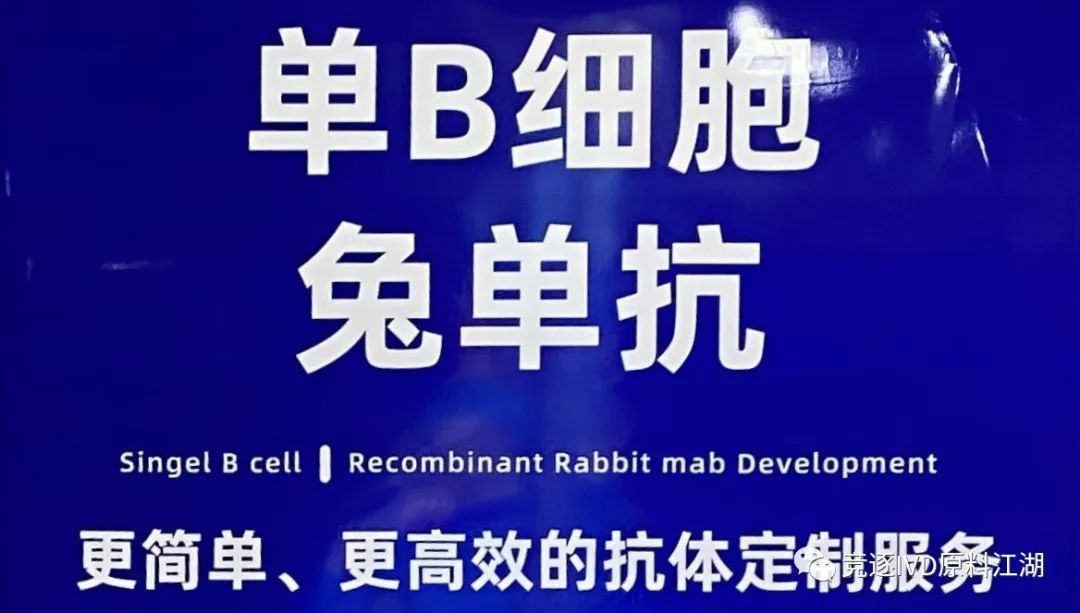 2023CACLP总结之原料篇