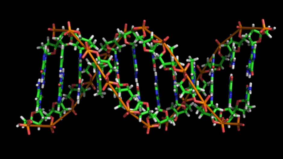 学生物：适合普通家庭、智力一般的学生！