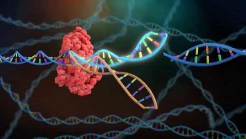 后疫情时代，数字PCR能否引领分子诊断的未来？
