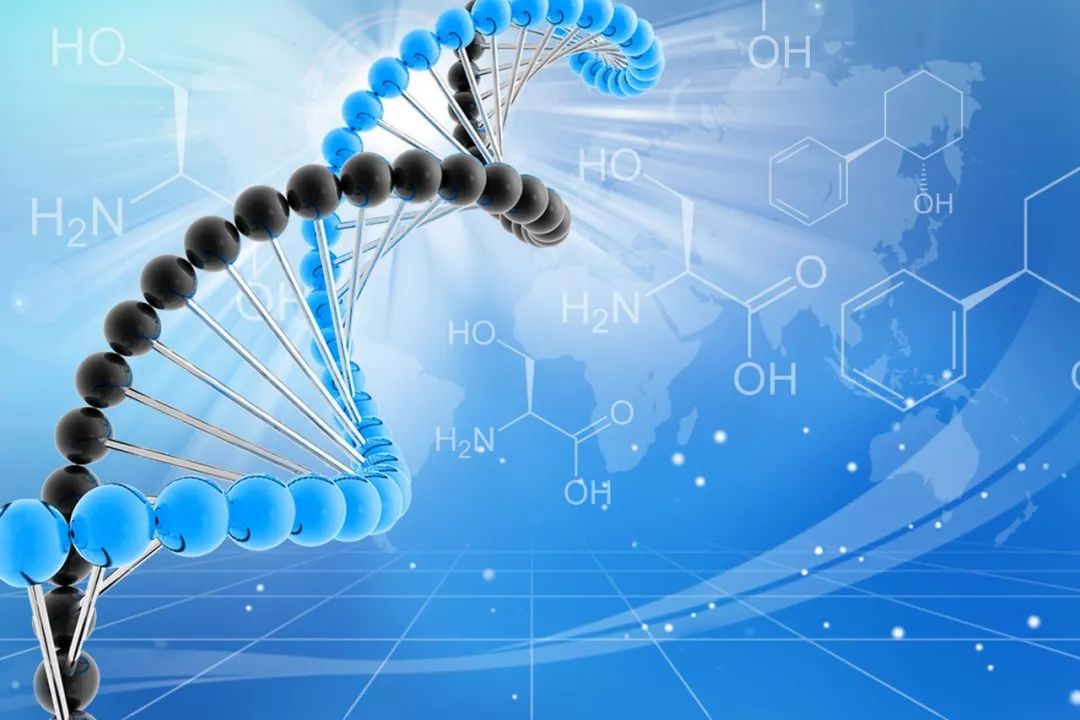 DNA甲基化检测助力妇科肿瘤精准诊断