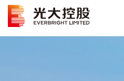 中國光大控股有限公司