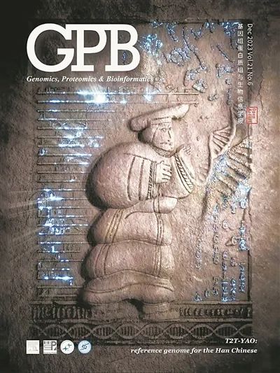 全球首次！取得重大突破