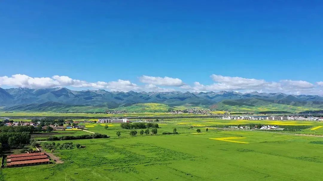 【冯仁丰】临床检验的互换性评估应该怎么做？ 6