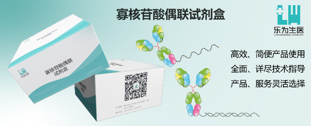免疫PCR技术丨基于PLA原理的寡核苷酸探针及连接子设计方案