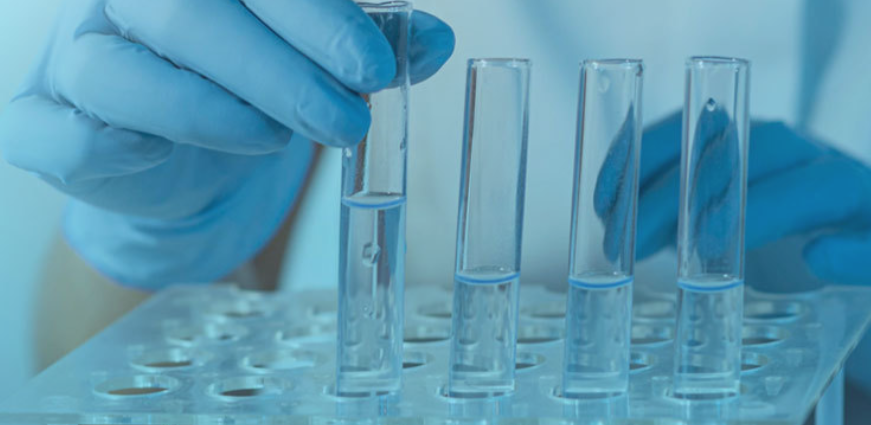 江苏申基生物科技有限公司