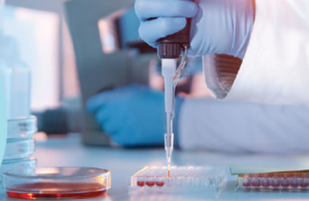 广州市锐博生物科技有限公司