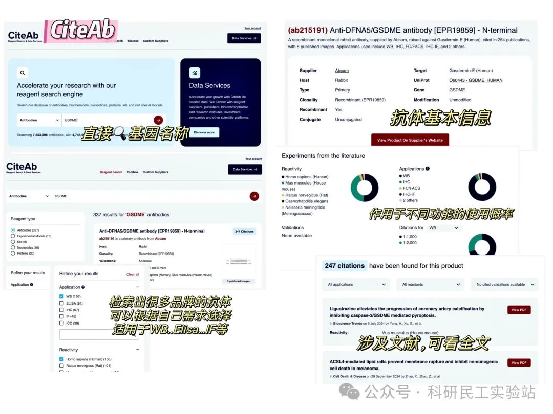 总结了8个抗体查询网站，大家可以根据自己的个人情况选择合适的～