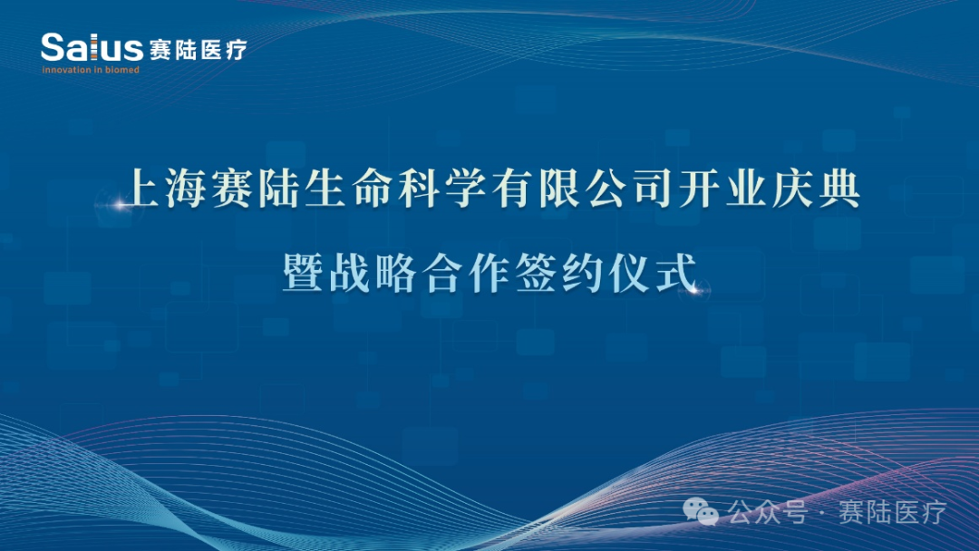 落子上海，赛陆大动作！