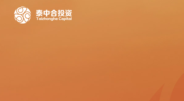 泰中合投资