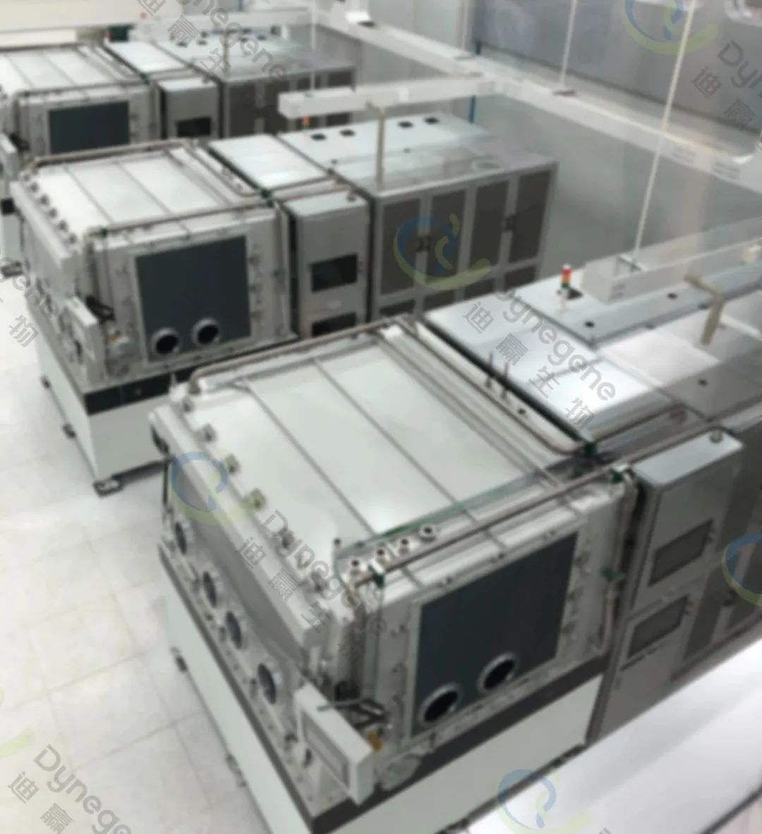 单日合成五十亿碱基，迪赢生物全面落地新一代核酸制造能力
