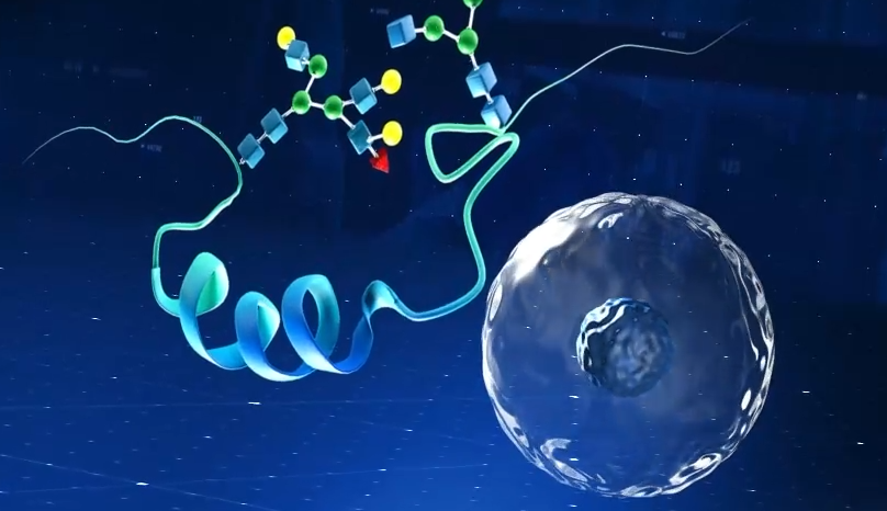 先思达生物