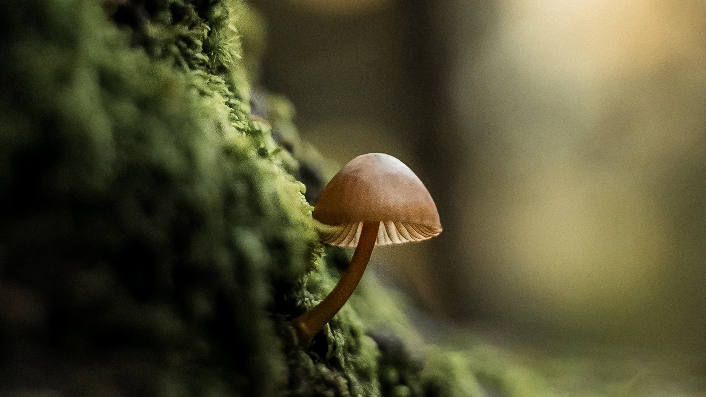康华生物获受理，IVD企业正以另一种方式复苏