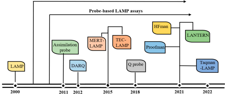 LAMP探针法：让病原体检测更精准、更快速！——分子诊断技术的革新突破