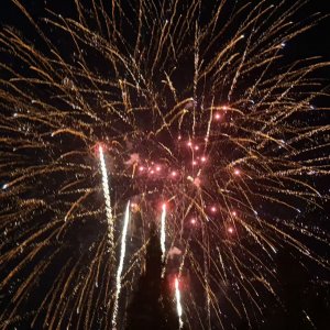 早筛，雅培用1500亿元来起风！