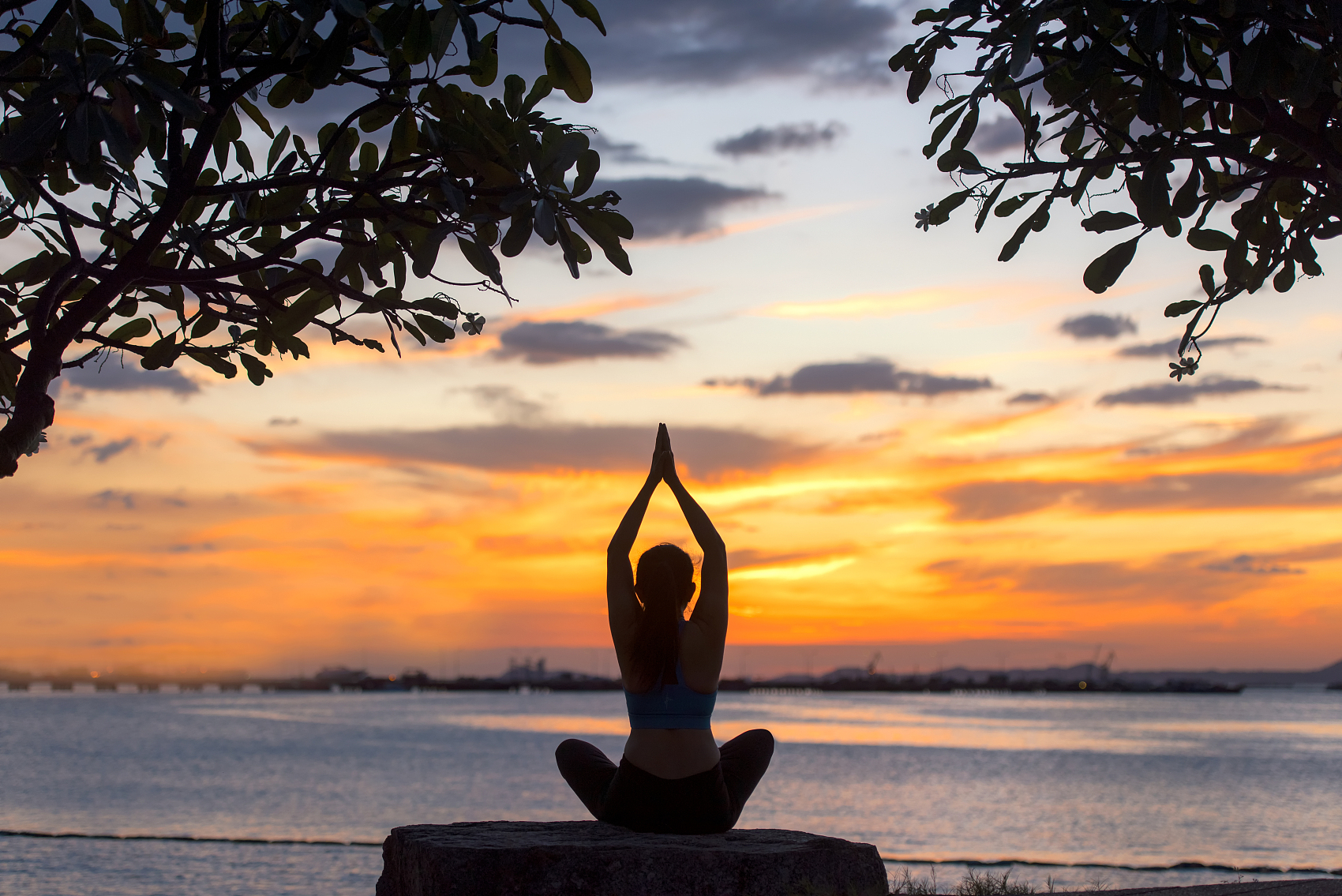 合成生物学龙头联合创始人辞任COO