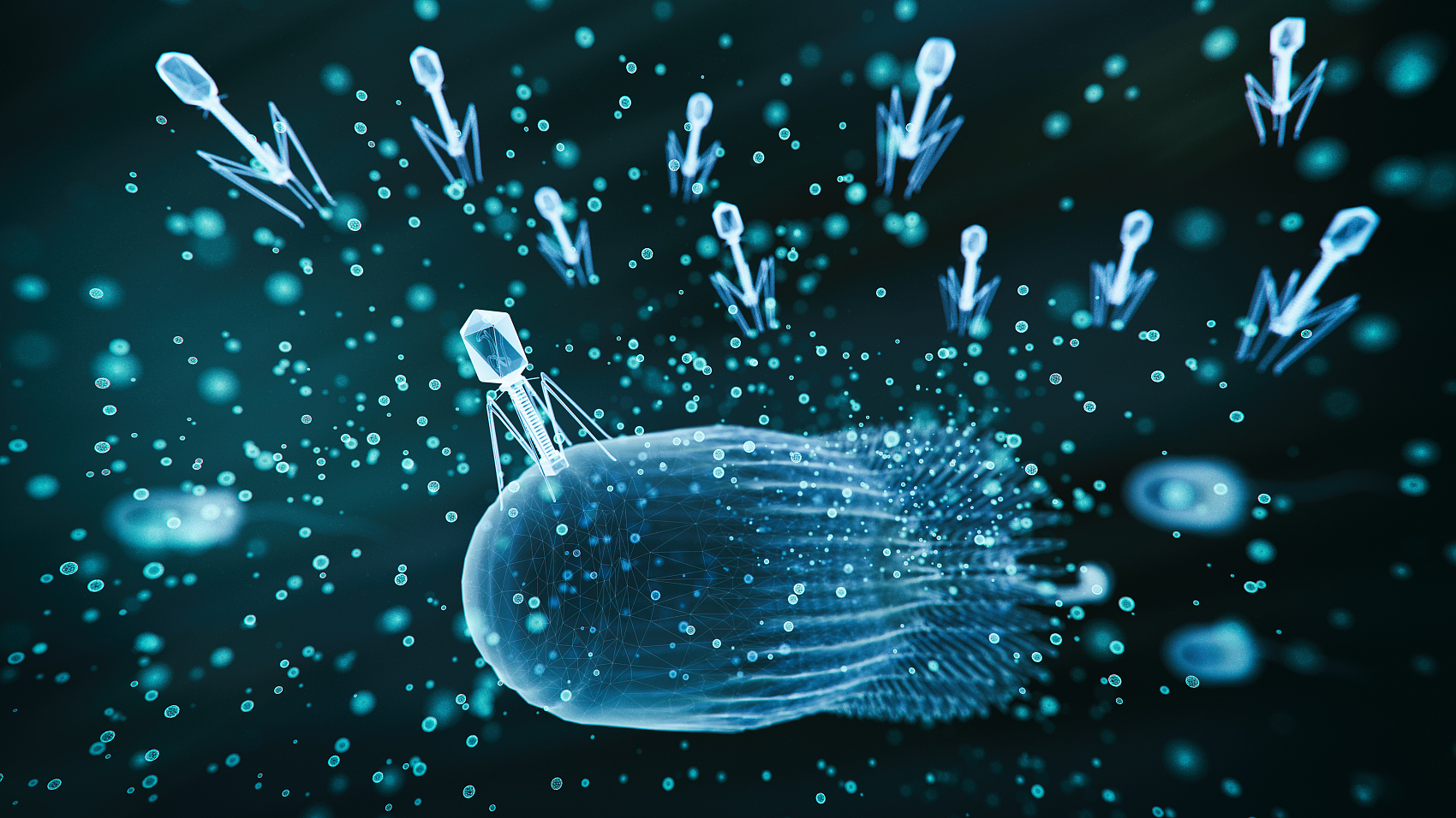 2025年美国呼吸道感染病原体的 “活跃时间表”