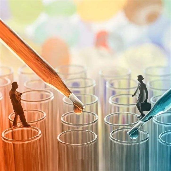 国际诊断四大家，罗雅丹西2025年报大PK！