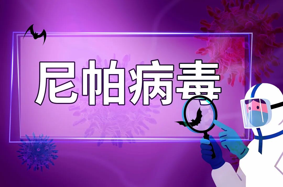 万孚生物再推尼帕病毒检测新方案！