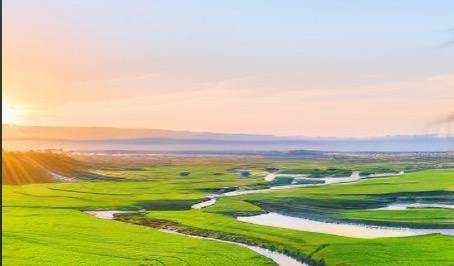 从“一药一检”到“泛药通用”：肿瘤精准治疗的最后一公里正在打通？