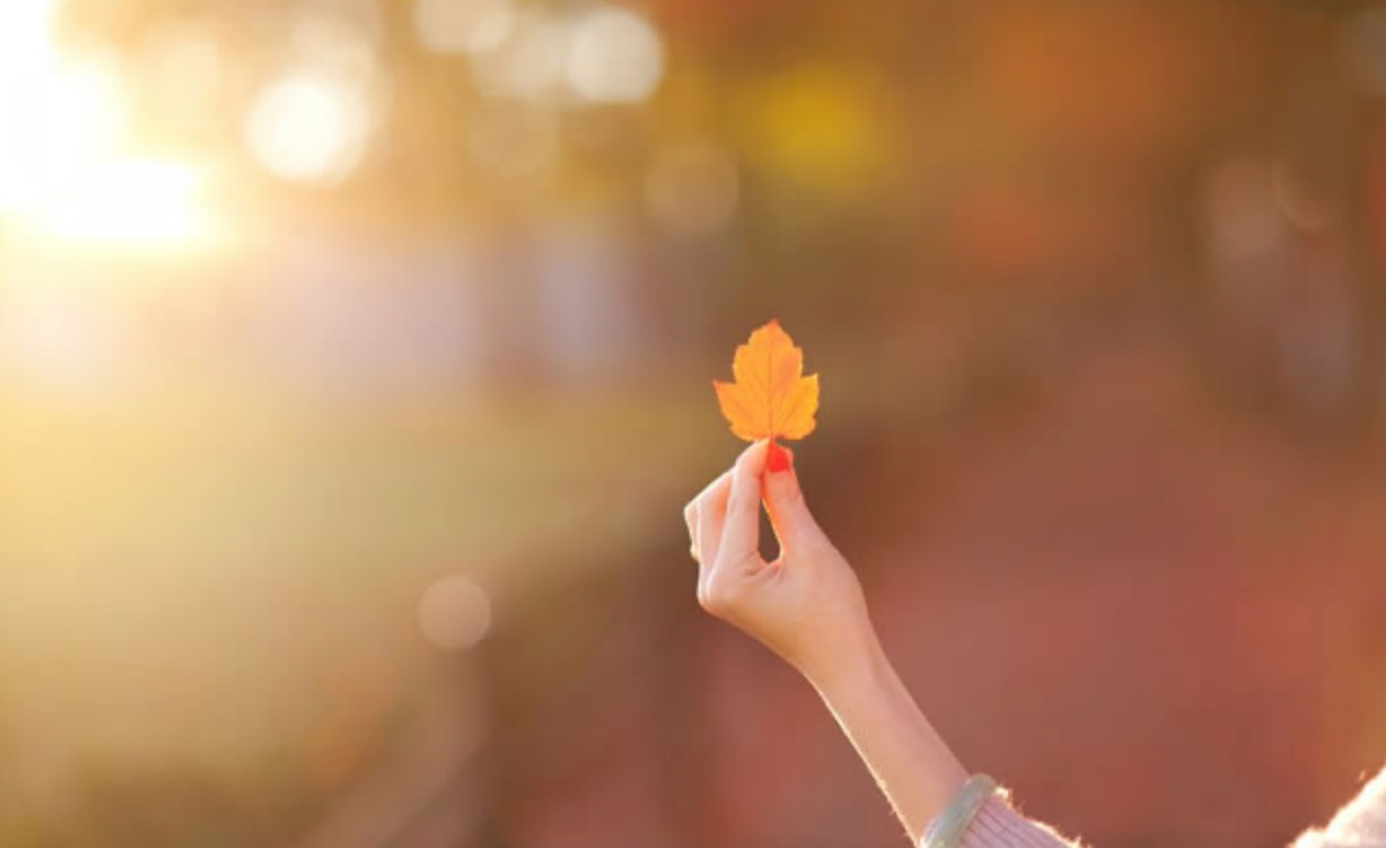 早筛模式成形，中国离“Galleri时刻”还有多久？