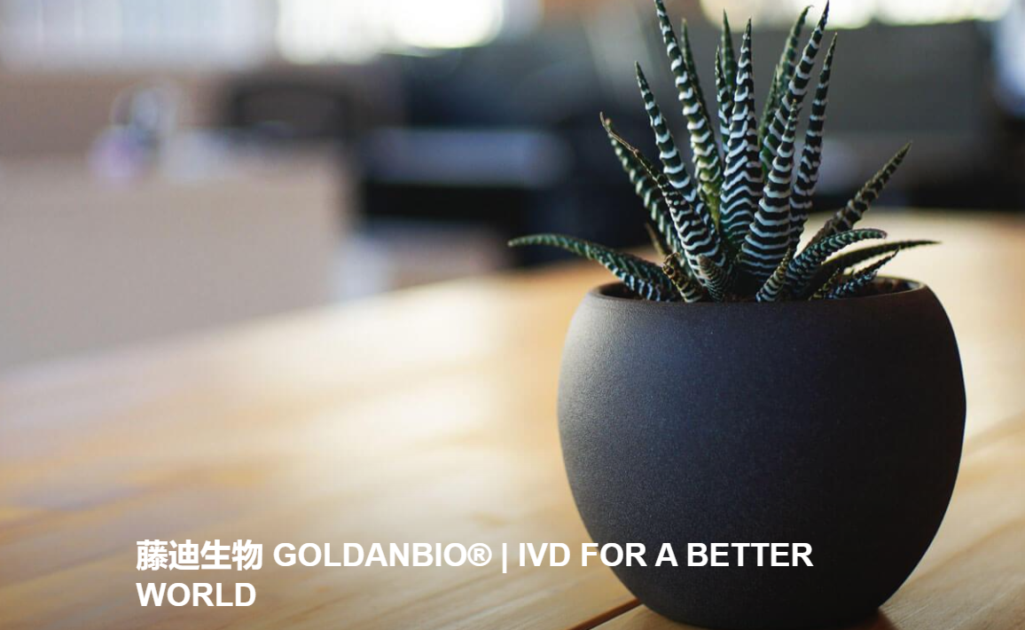 藤迪生物科技(深圳)有限公司