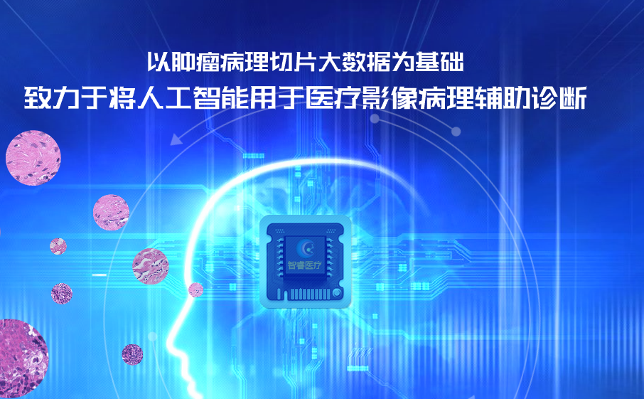 广州智睿医疗科技有限公司