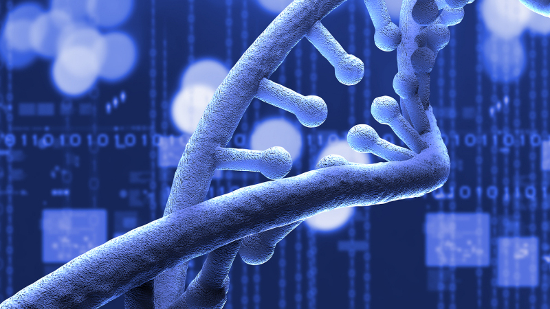 深圳市光与生物科技有限公司