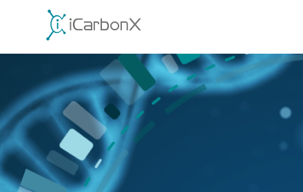 广东碳云晶芯智能科技有限公司