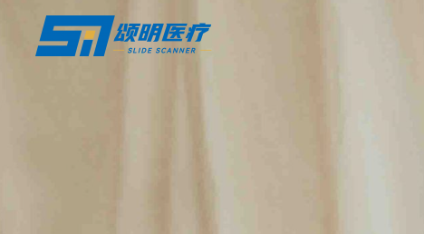 绍兴颂明医疗科技有限公司