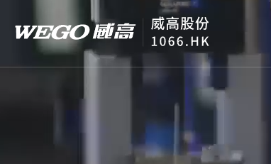 山东威高集团医用高分子制品股份有限公司