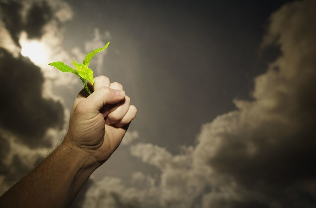 ST天瑞（300165）即将“摘帽”！