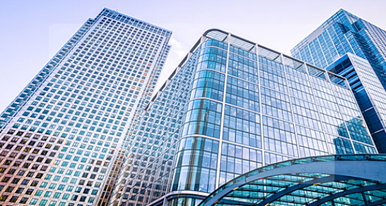 山东时真生物科技有限公司