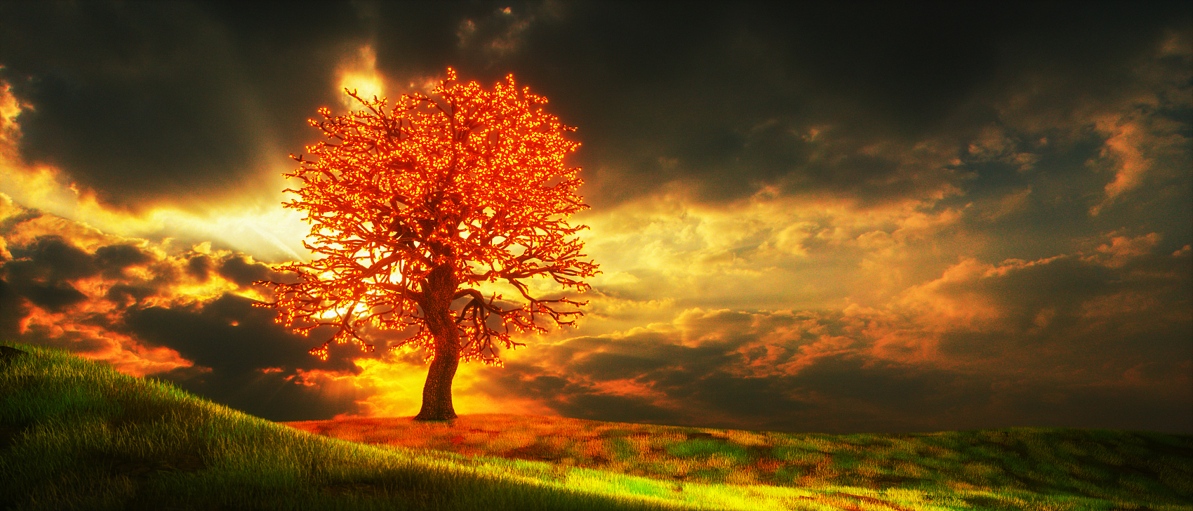 解码人体免疫信号：MeMed 获批背后的 IVD新范式