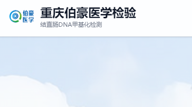 重庆伯豪诊断技术有限公司