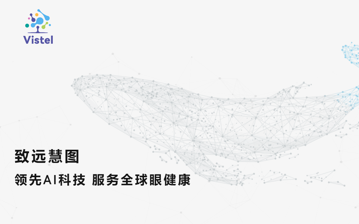 北京致远慧图科技有限公司