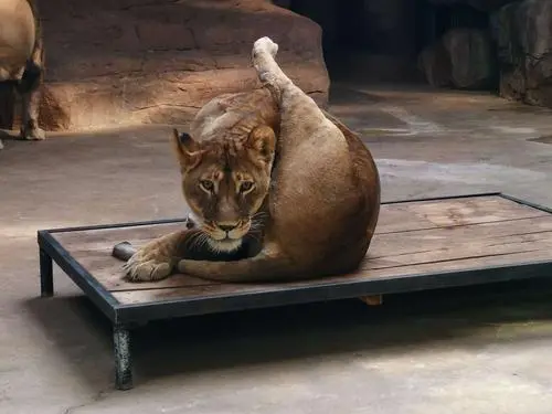 品峰起诉利德曼！