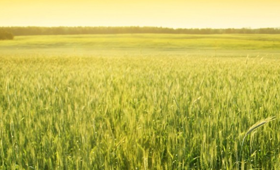 长春技特生物技术有限公司