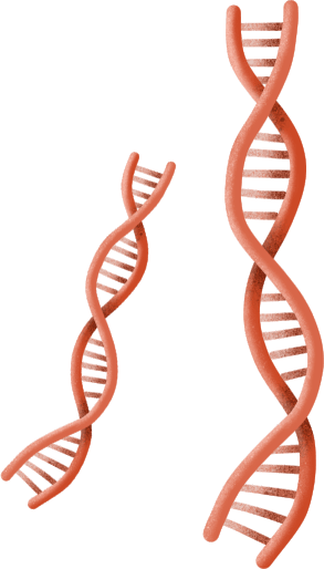 讨论篇：对一至三代基因测序的认识