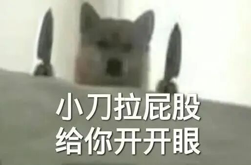 觅瑞，停牌进展曝光！