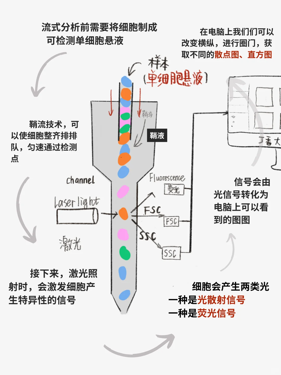 流式门道，你知多少？